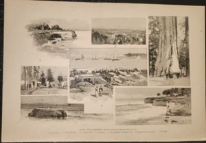Santa Cruz California Beach Cliffs Redwood Trees Arch Rock Harper’s Weekly 1894 - Imagen 1 de 1