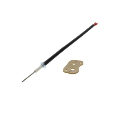 ELECTRODO DE IONIZACIÓN BUDERUS BOSCH 78195 PARA CALDERA GB142 Foto 1 de 2