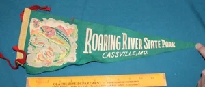 Banderín Roaring RIver State Park - fieltro de recuerdo Cassville Missouri de colección - Imagen 1 de 6