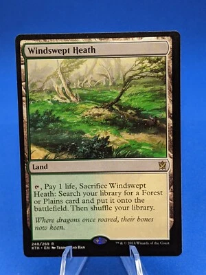 MTG - WINDSWEPT HEATH - KHANS OF TARKIR * LIGHTLY PLAYED * - Image 1 of 3