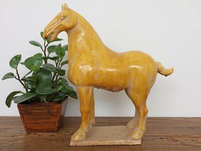 Tang-Pferd Terrakotta Feng Shui Symbol Ausdauer Sieg Gelb #P-TAN-TP05 • 108.90€