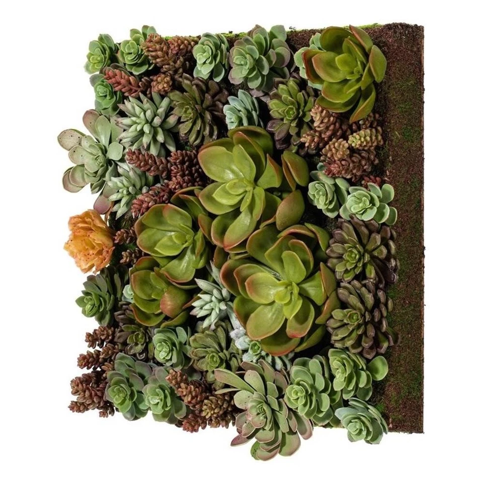 Disposición de pared suculenta artificial Vickerman 16,5" en multicolor Foto 1 de 1