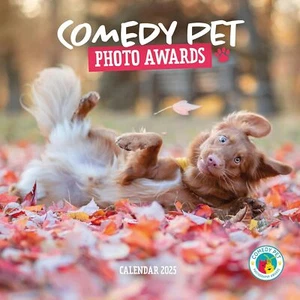 PREMIOS FOTO COMEDIA MASCOTAS - CALENDARIO DE PARED 2025 - NUEVO - 843804 - Imagen 1 de 2
