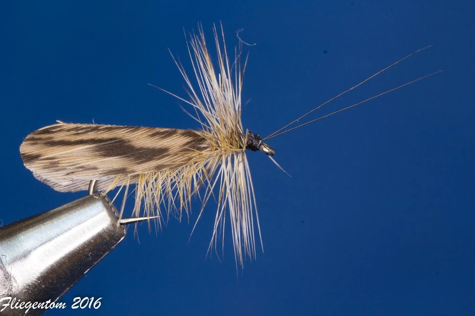 Fliegentom Trockenfliege 3 Stück - slowenische Sedge braun meliert - Bild 1 von 1