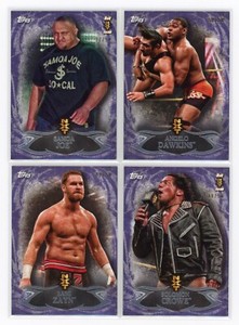 2015 Topps Undisputed WWE NXT 1-25 NXT PROSPECTS PURPLE /50 - PICK FROM LOT