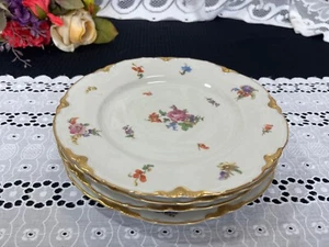 Set of 4 Warwick "Dresden" Scalloped Gold Trim Floral Luncheon Plates 8 7/8" - Picture 1 of 8