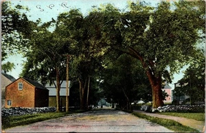 Postcard MA Beverly Hale Street Massachusetts  - Picture 1 of 2