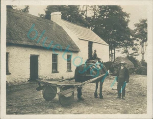 1920er irischer niedriger Rückenwagen Sepia kommerzielles professionelles Originalfoto 3,2 x 2,7 Zoll - Bild 1 von 3
