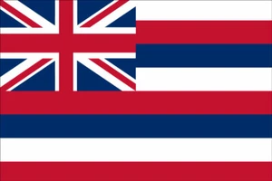 Hawaii State 10' x 15' Polyester Flag - Imagen 1 de 1