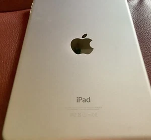 iPad Mini 4 16 GB, Exterior Excellent Condition, Battery Needs Replacing - Picture 1 of 3