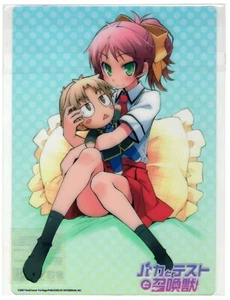 pencil board Shitajiki Baka and Test to Shoukanjuu Shokanju anime Shimada Minami - Picture 1 of 2