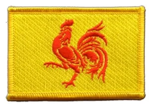 Belgien Wallonien Aufnäher Flaggen Fahnen Patch Aufbügler 8x6cm - Bild 1 von 1