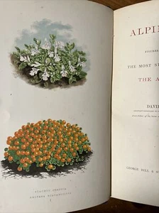 1874 Alpine Plants 2 Volume Set; David Wooster; As Is - Picture 1 of 10