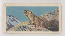 1962 Brooke Bond Red Rose Animals of North America Series 2 Tea Pika #15 0o9