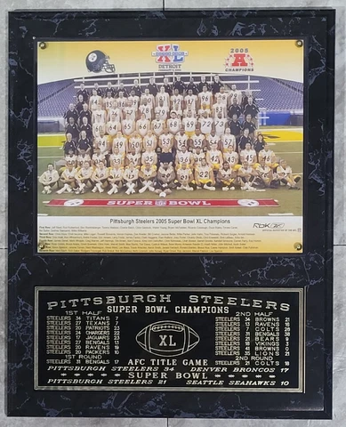Pittsburgh Steelers 2008 Super Bowl XLIII Champions 12" x 15" Plaque SB 43 Cover