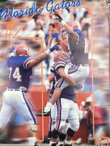 1996 Florida Gators Poster National Champions Mascart 22 inches x 34 inches Cover