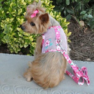 yorkie clothes ebay