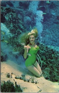 Vintage 1960s WEEKI WACHEE, Florida Postcard Mermaid Underwater / Chrome Unused - Bild 1 von 2