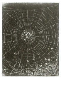 Postcard Jan Mankes "Kruisspin in Zijn Web (Spider in Web)" 1916 MINT Unused - Picture 1 of 1
