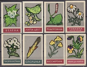 USSR 1964 Matchbox Label - Cat.131Z set glazy - Medicinal Plants - Bild 1 von 2