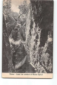 14768 AREZZO VERNA - Picture 1 of 2