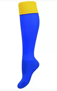 West Coast Eagles Official AFL Elite Football Footy Socks Youth Cotton/Elastane - Picture 1 of 3