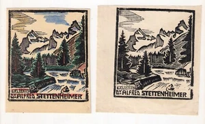 2 Ex-Libris Konrad Alois Schwärzler Orig. Holzschnitt Alf. Stettenheimer (46) - Imagen 1 de 2