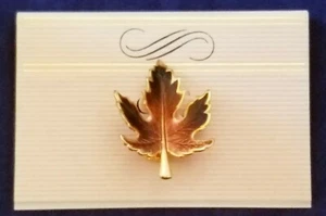 Vintage Gold-Tone Leaf Brooch Pin Costume Jewelry on Card - Picture 1 of 4