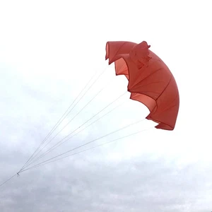 Model Parachute 4-6 6-8 8-10kg Load Recycled Drop Parachute Nylon Canopy - Picture 1 of 10