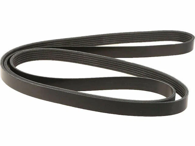 Cinturón multi costilla para Ford Ranger 2001-2011 2002 2003 2004 2005 2006 2007 C791GZ Foto 1 de 1