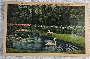 Vintage Leinen Postkarte Seerosen & Iris in Blüte, Schwanensee Gärten Sumter SC - Bild 1 von 2