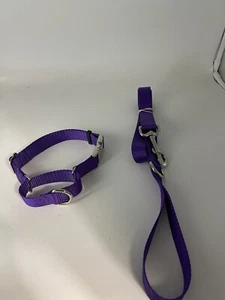 Martingale Style Dog Collar Metal Buckle Large With Leash Purple Made Local - Picture 1 of 4