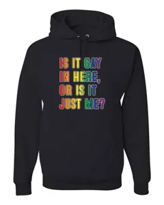 Is it gay in here or is it just me LGBTQ Kapuzenpullover Männer Frauen - Bild 1 von 14