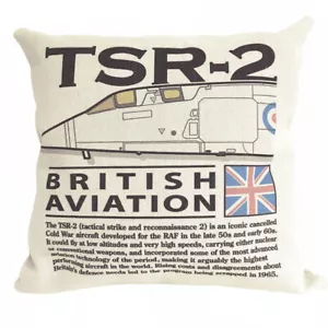 British Aircraft Corporation TSR2 Surveillance Aircraft Cushion Inner Included - Picture 1 of 1