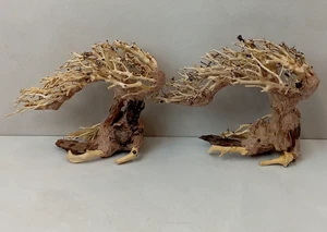 Lotto di 2 legni per acquario stile bonsai 23x17x10 cm raccolti e sagomati a mano - Foto 1 di 6