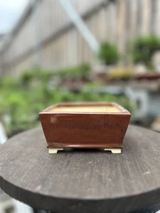 Bonsai Topf "Keiun Fukuda" kleine lange Seite ca. 5,1 Zoll quadratisch NEU - Bild 1 von 6