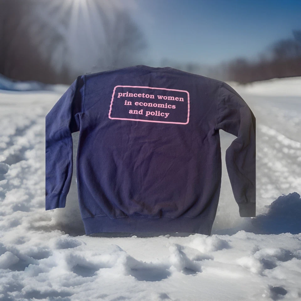 Sudadera mediana rara de los Tigres de la Universidad de Princeton para mujeres en economía y política Foto 1 de 4