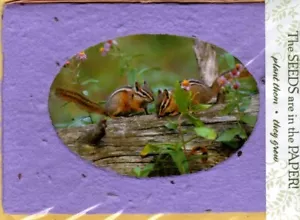 Chipmunk Chipmunks leer innen Samen Papier Samen Leanin' Tree Grußkarte - Bild 1 von 2