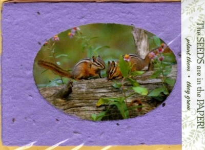 Chipmunk Chipmunks Blank Inside Seed Paper Seeds Leanin' Tree Greeting Card - Image 1 of 2