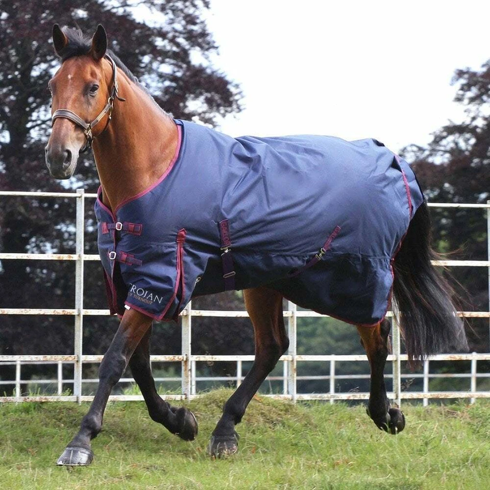 Gallop Trojan 50g Turnout Rug Navy/Burgundy - Image 1 of 1