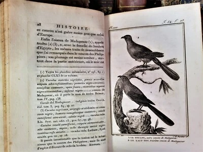 1800 BUFFON - NATURAL HISTORY OF BIRDS With Engravings - Image 1 of 4