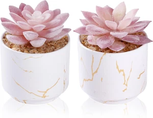 Artificial Plants and Succulents in 2 White Ceramic Pots,Small Fake Plants for O - Picture 1 of 12