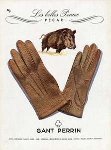 "PERRIN HANDSCHUH" Original Reklame fein geflochten 40 31x41cm (WILDSCHWEIN) - Bild 1 von 1