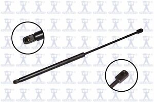 Tailgate Lift Support For 1984-1991 Pontiac 6000 Wagon 194ME46