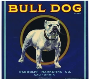 Bull Dog CA Caja Naranja Etiqueta Bulldog Blanco - Imagen 1 de 1