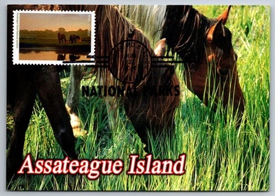#5080F Assateague Island National Seashore FDC Maxi Card w/ National Park Cancel - Image 1 of 2