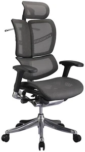 Ergonomischer Bürostuhl Netz grau Drehstuhl Chefsessel hochwertig stabil B2 - Bild 1 von 7