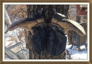 Blacksmith, American Made Horseshoe Cowboy Boot Rack, Horseshoes Worn by Horses - Picture 1 of 8