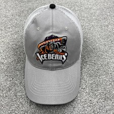 Knoxville Ice Bears Hat Cap Gray White Strap Back Mesh Trucker SPHL Adjustable