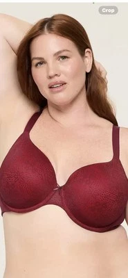 NWOT~Lane Bryant~Cacique~42DD~Cotton~ Lightly Lined~t-Shirt~Bra~With Lace - Image 1 of 4